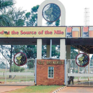 The Tax Appeals Tribunal backs URA in Nile Breweries export row, finding Kabaco and Ituri were buyers, not agents. Beer sold locally then exported, triggering VAT and excise; assessments upheld.